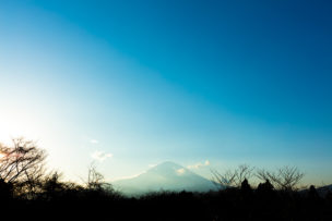 静岡